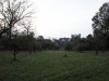 Zahrada