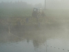 Zapřaženo za traktor, to by Hlubocký koukali  ...