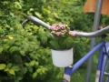 Okrasa bicyklu před startem